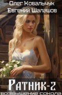 обложка аудиокниги Ратник 2