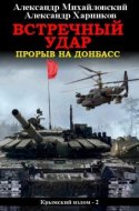 обложка аудиокниги Встречный удар. Прорыв на Донбасс