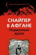 обложка аудиокниги Снайпер в Афгане. Порванные души