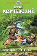 обложка аудиокниги Зеленые фуражки