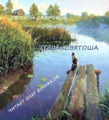 обложка аудиокниги Тоша-святоша