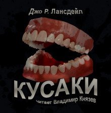 обложка аудиокниги Кусаки