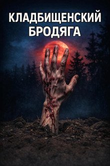 обложка аудиокниги Кладбищенский бродяга
