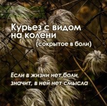 обложка аудиокниги Курьез с видом на колени (сокрытое в боли)