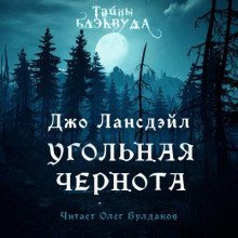 обложка аудиокниги Угольная чернота