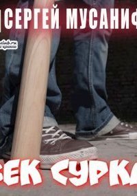 обложка аудиокниги Система дефрагментации 8. Век сурка