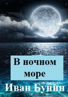 обложка аудиокниги В ночном море