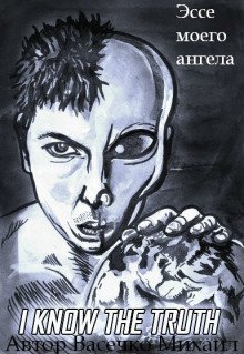 обложка аудиокниги Эссе моего ангела