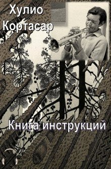 обложка аудиокниги Книга инструкций