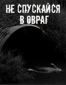 обложка аудиокниги Не спускайся в овраг