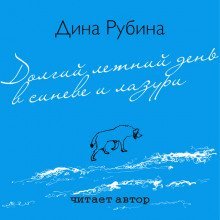 обложка аудиокниги Долгий летний день в синеве и лазури