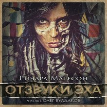 обложка аудиокниги Отзвуки эха