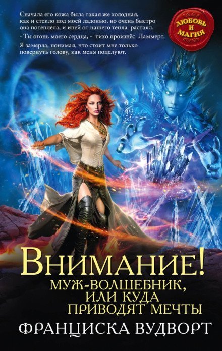 обложка аудиокниги Внимание! Муж-волшебник, или Куда приводят мечты