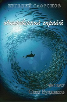 обложка аудиокниги Обыкновенный спрайт