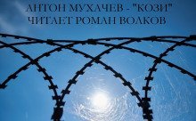 обложка аудиокниги Кози