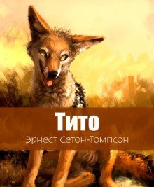 обложка аудиокниги Тито - дочь степей
