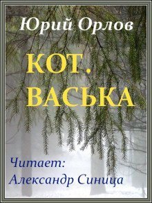 обложка аудиокниги Кот. Васька