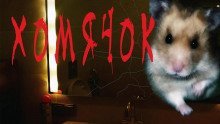 обложка аудиокниги Хомячок