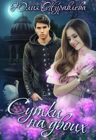 обложка аудиокниги Сутки на двоих