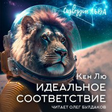 обложка аудиокниги Идеальное соответствие