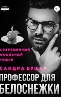 обложка аудиокниги ВУЗовские принцессы 2. Профессор для Белоснежки