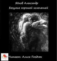 обложка аудиокниги Безумие хорошей компанией