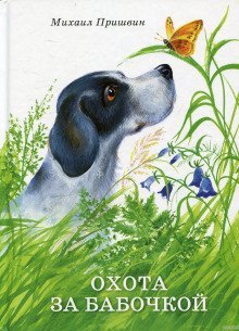 обложка аудиокниги Охота за бабочкой