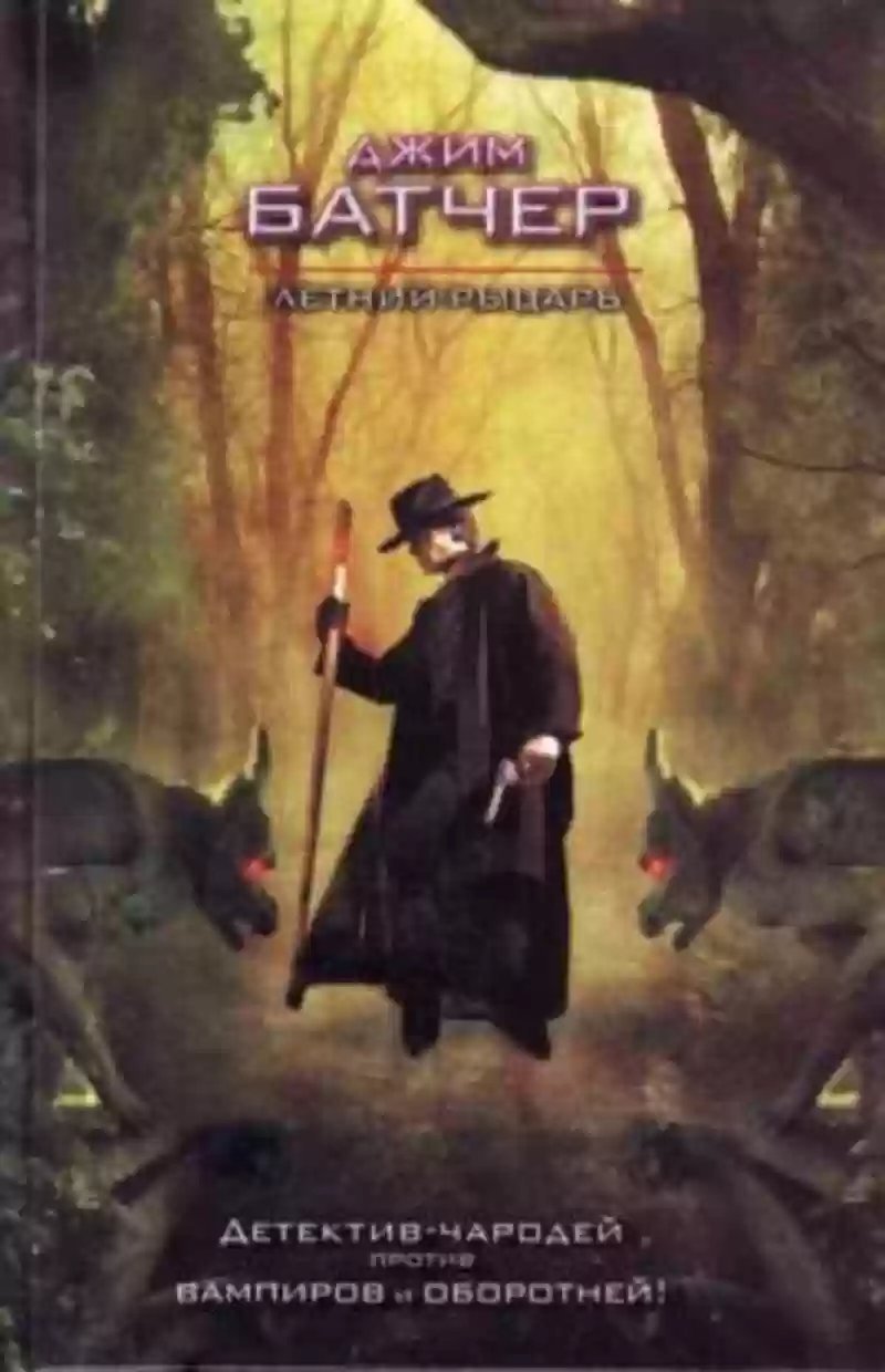 обложка аудиокниги Летний рыцарь