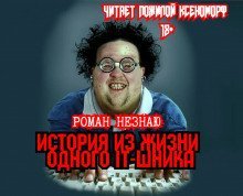 обложка аудиокниги История из жизни одного айтишника