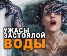 обложка аудиокниги Ильюшин пруд