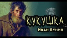 обложка аудиокниги Кукушка