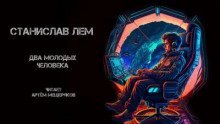 обложка аудиокниги Два молодых человека
