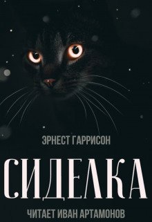 обложка аудиокниги Сиделка