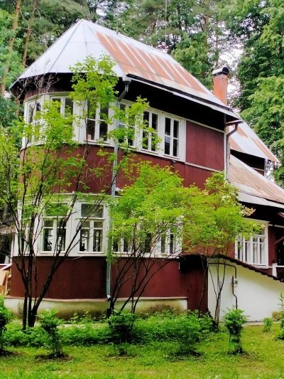 обложка аудиокниги Переделкинский пенал. Дачная жизнь Корнея Чуковского