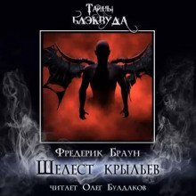 обложка аудиокниги Шелест крыльев