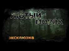 обложка аудиокниги Лютый морок