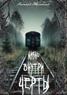 обложка аудиокниги Жизнь внутри черты