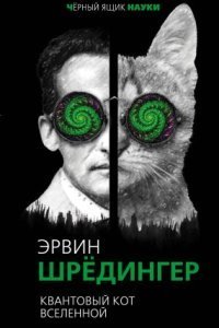 обложка аудиокниги Квантовый кот вселенной