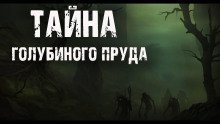обложка аудиокниги Тайна голубиного пруда