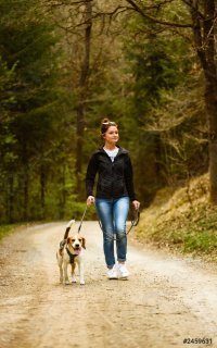 обложка аудиокниги Женщина и собака