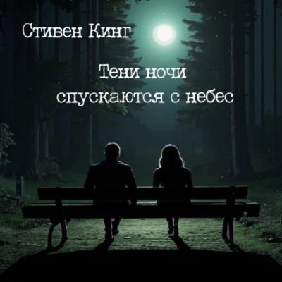 обложка аудиокниги Тени ночи спускаются с небес