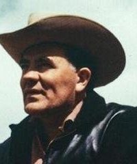 обложка аудиокниги Доля для негодяя. На нас держится эта земля. Что золото делает с человеком