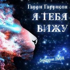 обложка аудиокниги Я тебя вижу