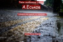 обложка аудиокниги Сожмусь, как щенок, я в комочек