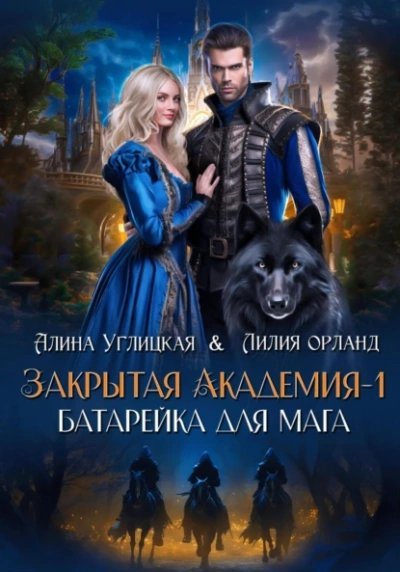 обложка аудиокниги Батарейка для мага