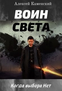 обложка аудиокниги Воин Света