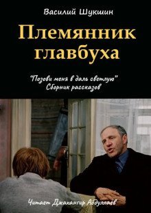 обложка аудиокниги Племянник главбуха
