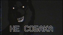 обложка аудиокниги Не собака