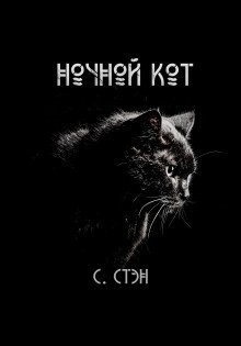 обложка аудиокниги Ночной кот