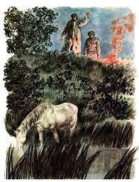 обложка аудиокниги Сивый мерин